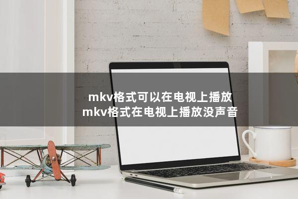 mkv格式可以在电视上播放(mkv格式在电视上播放没声音)